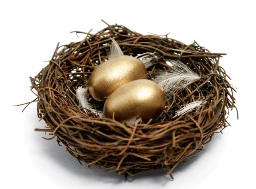 Nest egg